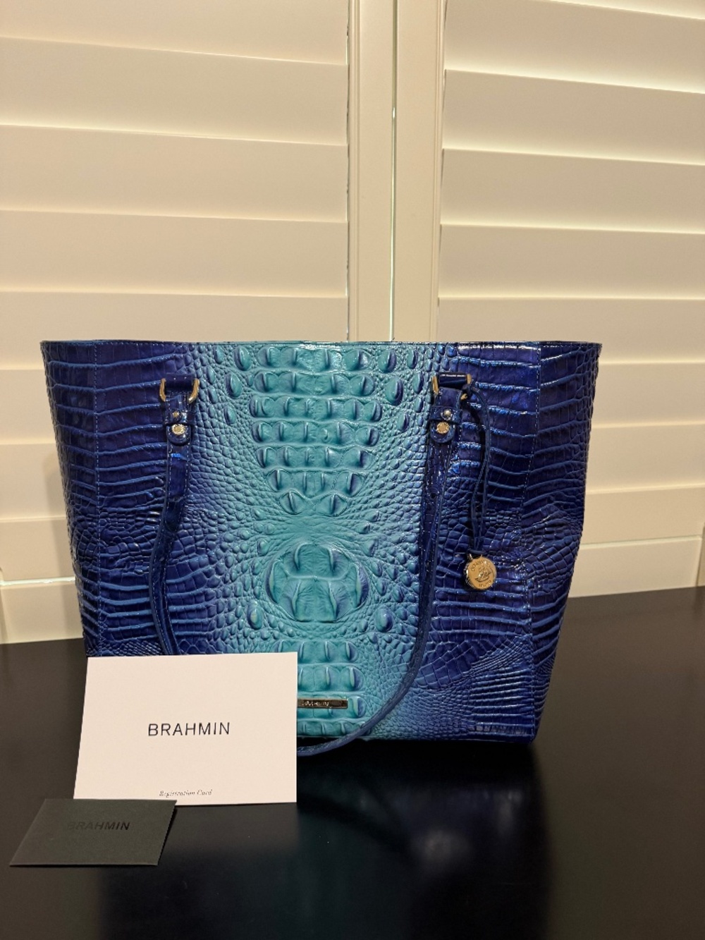 Brahmin April Affinity Ombre Melbourne Tote